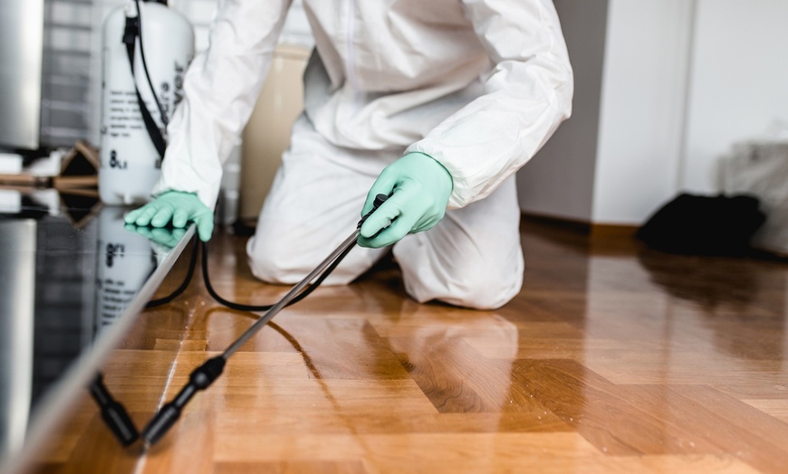 مكافحة الحشرات